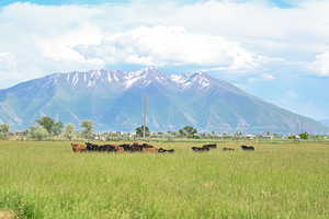 View of mountain background with rural landscape and agricultural land