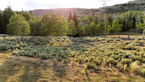 View of mountain background