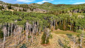 Mountain view featuring a heavily wooded area