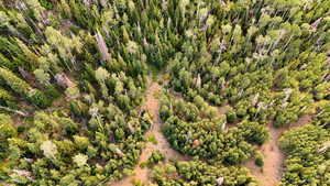 Bird's eye view of a heavily wooded area