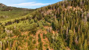 View of mountain backdrop featuring a forest