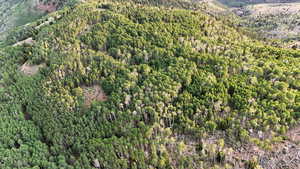 Aerial view of property's location with a heavily wooded area