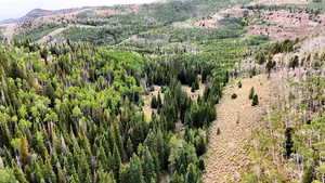 Aerial view of property and surrounding area with mountains and a heavily wooded area