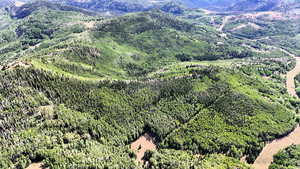 View of mountain backdrop featuring a forest