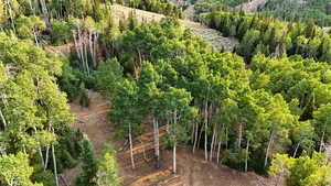 Aerial view of a heavily wooded area