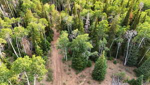 Aerial overview of property's location featuring a forest