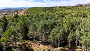 View of mountain backdrop with a heavily wooded area