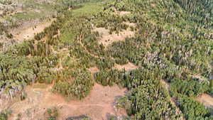 View of property location with a forest and rural landscape