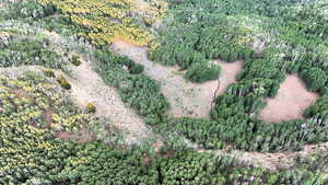 View of property location featuring a forest