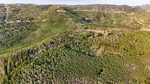 Mountain view with a heavily wooded area