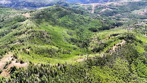 Mountain view with a heavily wooded area