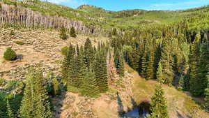 View of mountain background with a heavily wooded area