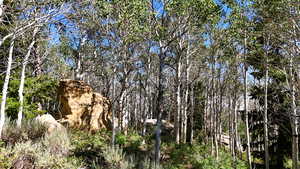 View of nature