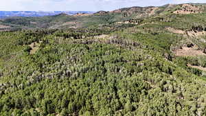 Mountain view with a heavily wooded area