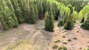 Aerial view of property's location