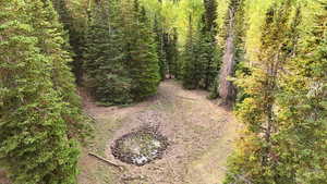 View of local wilderness