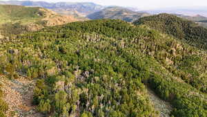 View of mountain background