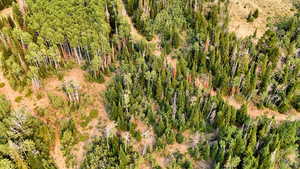 Aerial view of a heavily wooded area