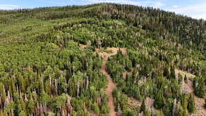 Bird's eye view of a heavily wooded area