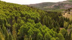 View of mountain backdrop featuring a heavily wooded area