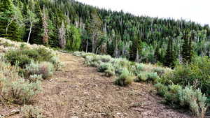 View of wooded area