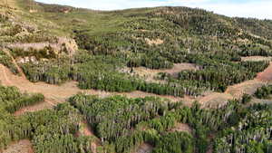 Mountain view with a heavily wooded area