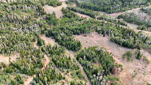 Aerial view of property's location featuring a forest and rural landscape
