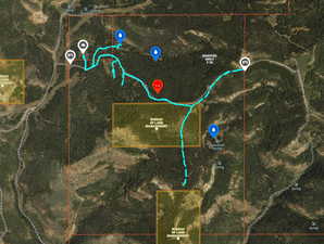 Map / location with property parcel outlined