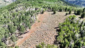Bird's eye view of a mountain backdrop