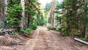 View of dirt / gravel road