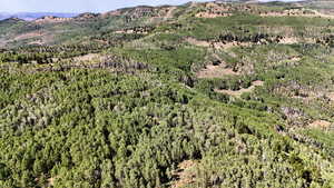 View of mountain background featuring a forest