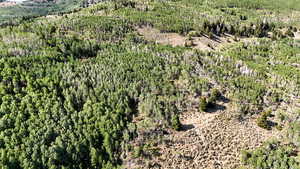 Aerial view of property and surrounding area featuring a heavily wooded area