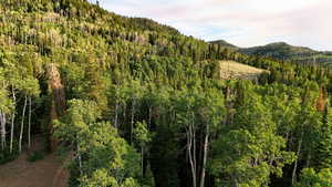 View of mountain backdrop with a heavily wooded area