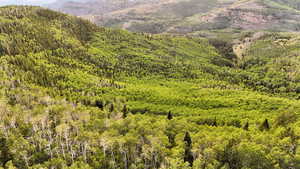 Mountain view with a heavily wooded area