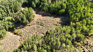 Drone / aerial view of a heavily wooded area