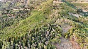 Aerial view of property and surrounding area featuring a forest