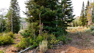 View of undeveloped land