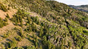 View of mountain background featuring a forest