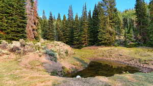 View of nature with a nearby body of water