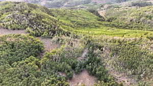 Aerial view of property and surrounding area with a heavily wooded area