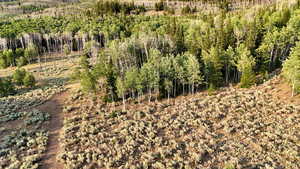 View of wooded area