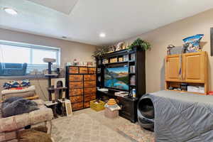 Bedroom featuring light colored carpet and recessed lighting