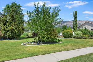 View of green lawn with a mountain view