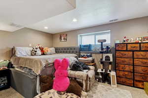 Carpeted bedroom featuring recessed lighting