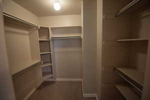 Spacious closet featuring carpet floors