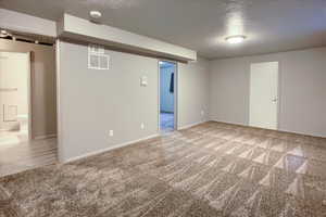 Basement living room.