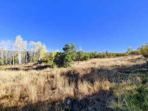 View of undeveloped land