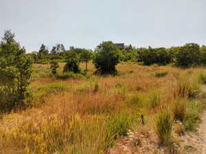 View of undeveloped land
