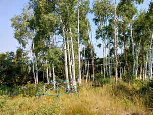 View of undeveloped land