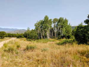 View of local wilderness featuring mountains